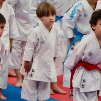 El Club Osaka Karate Badajoz se proclama ganador de la final provincial Judex 2024