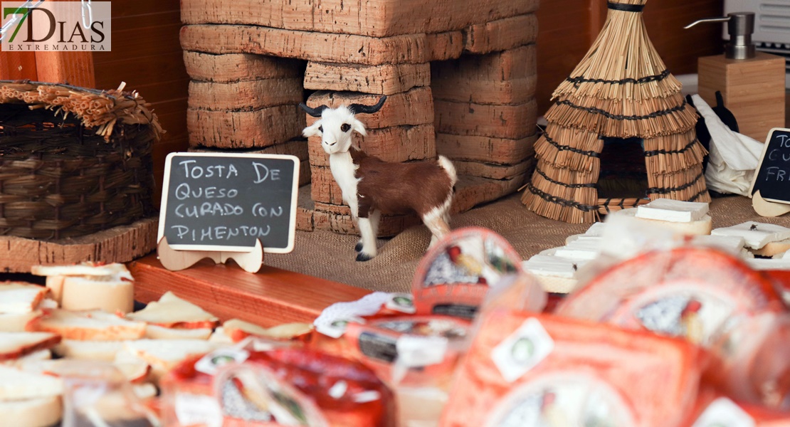 Vive la Trashumancia y la V Feria del Queso Artesano