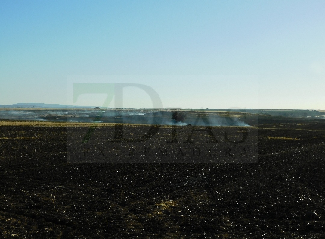 Gran incendio entre Talavera y La Albuera (BA)