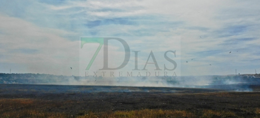 Bomberos de Badajoz trabajan en un incendio forestal