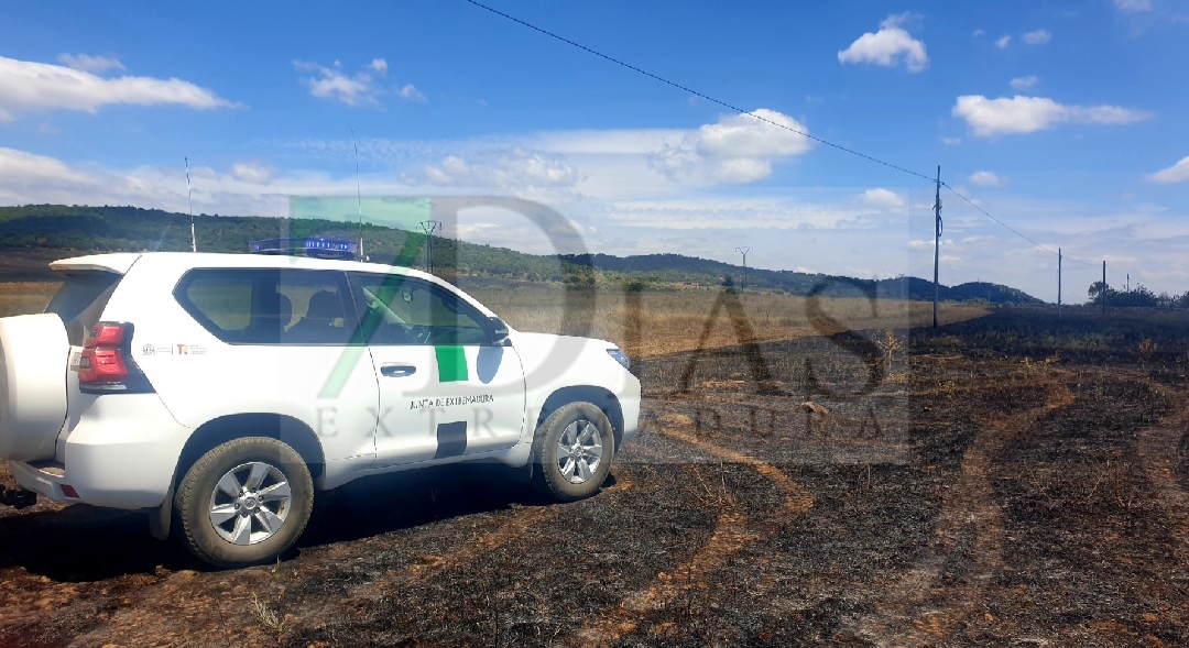 Se queman más de 20 hectáreas entre Higuera de Vargas y Alconchel (BA)