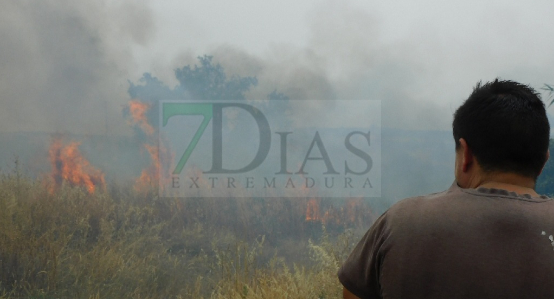 Bomberos de Badajoz luchan contra el fuego en La Banasta