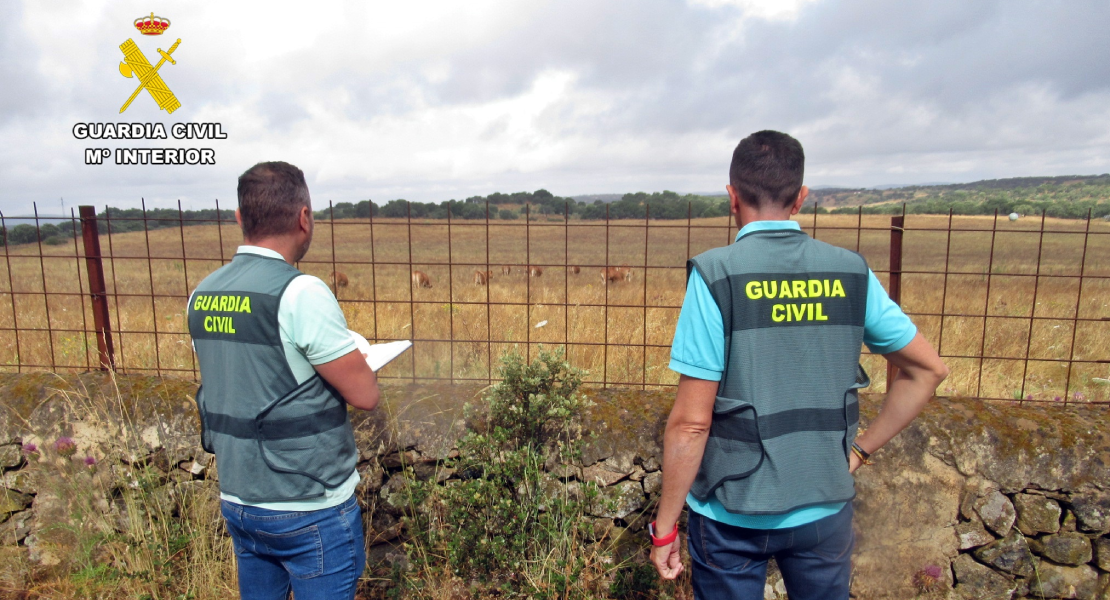 Desarticulan un entramado de estafas en las comarcas de Olivenza y Sierra Suroeste