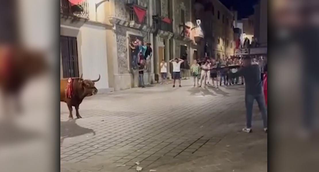 Polémica tras matar de un tiro a un toro en Coria (CC)