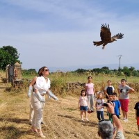 Extremadura celebra el Día Mundial del Medio Ambiente con una suelta de aves