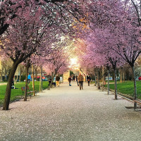 ¿Cómo ha sido la primavera en Extremadura?