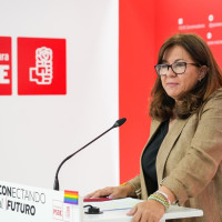 El PSOE investigará si la consejera de Agricultura tiene conflicto de intereses en el regadío de Tierra de Barros