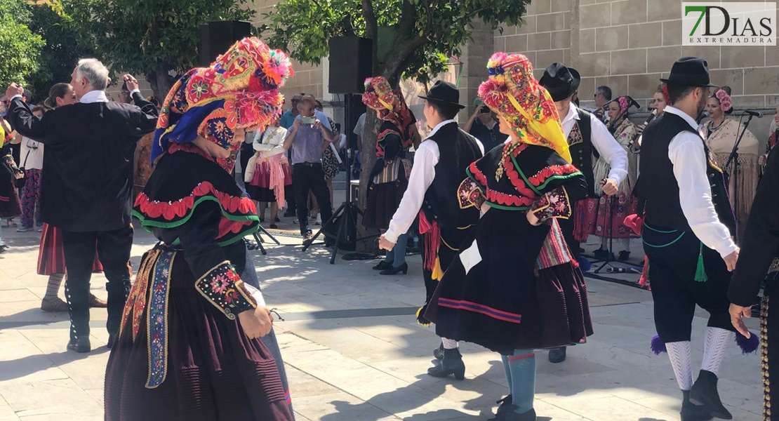 FESTIVAL FOLKLÓRICO