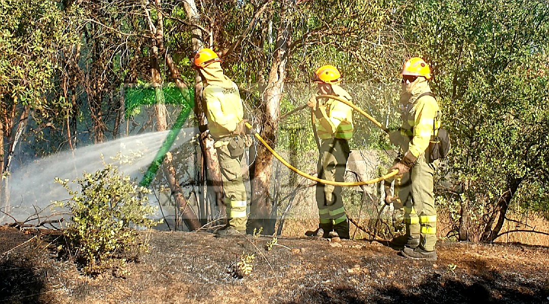 El fuego quema varias hectáreas en el término municipal de Valdebotoa