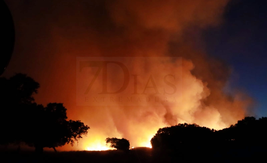 Así continúa el estado del incendio forestal entre Valverde y Almendral