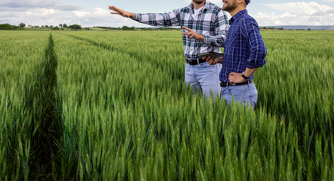 La Junta asegura que está pagando a los agricultores