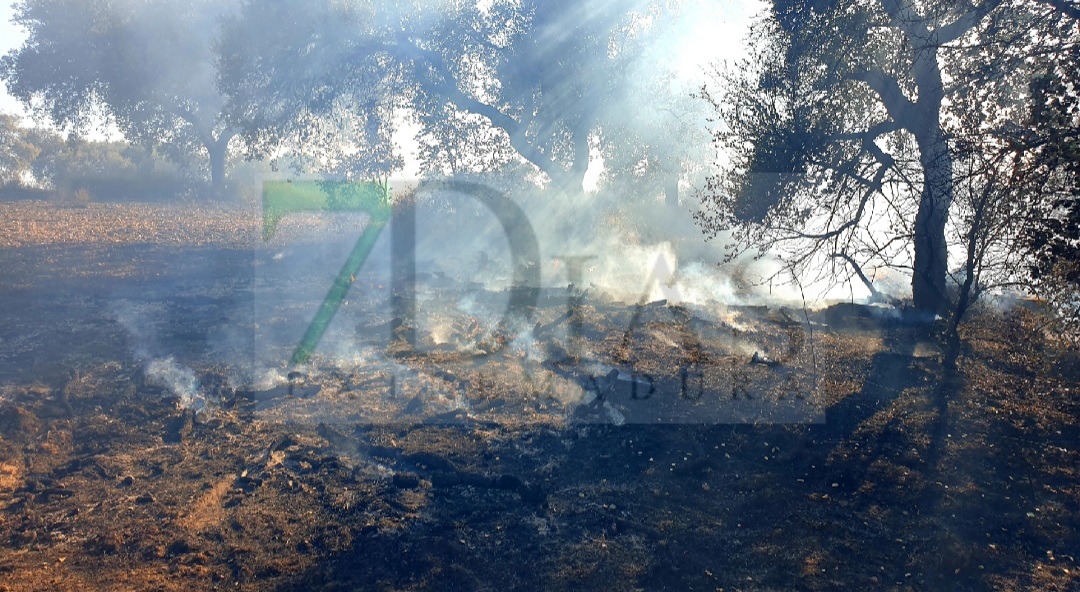 Incendio a las afueras de Badajoz este martes: "Hemos pasado mucho miedo"