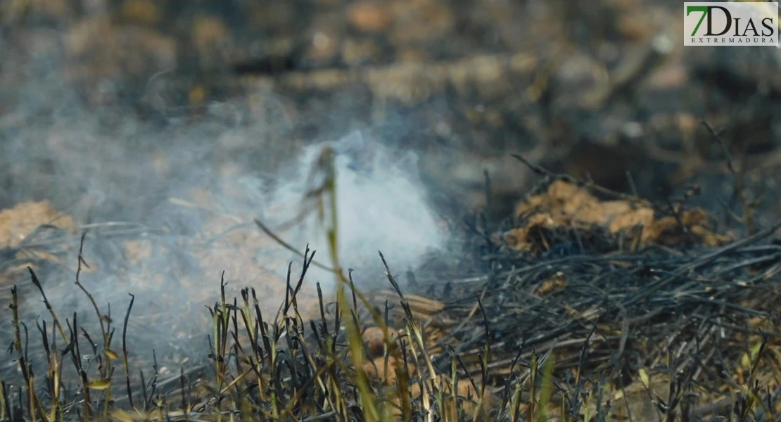 Declarado el nivel 1 en un incendio en Badajoz: está próximo a viviendas