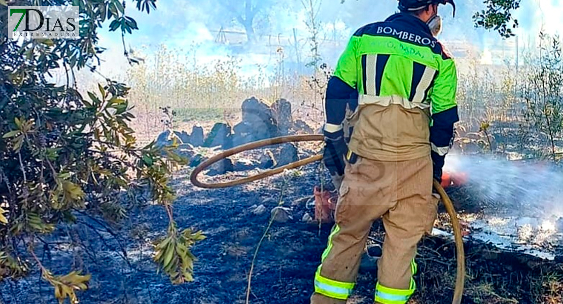 Un incendio afecta a varias parcelas de Botoa