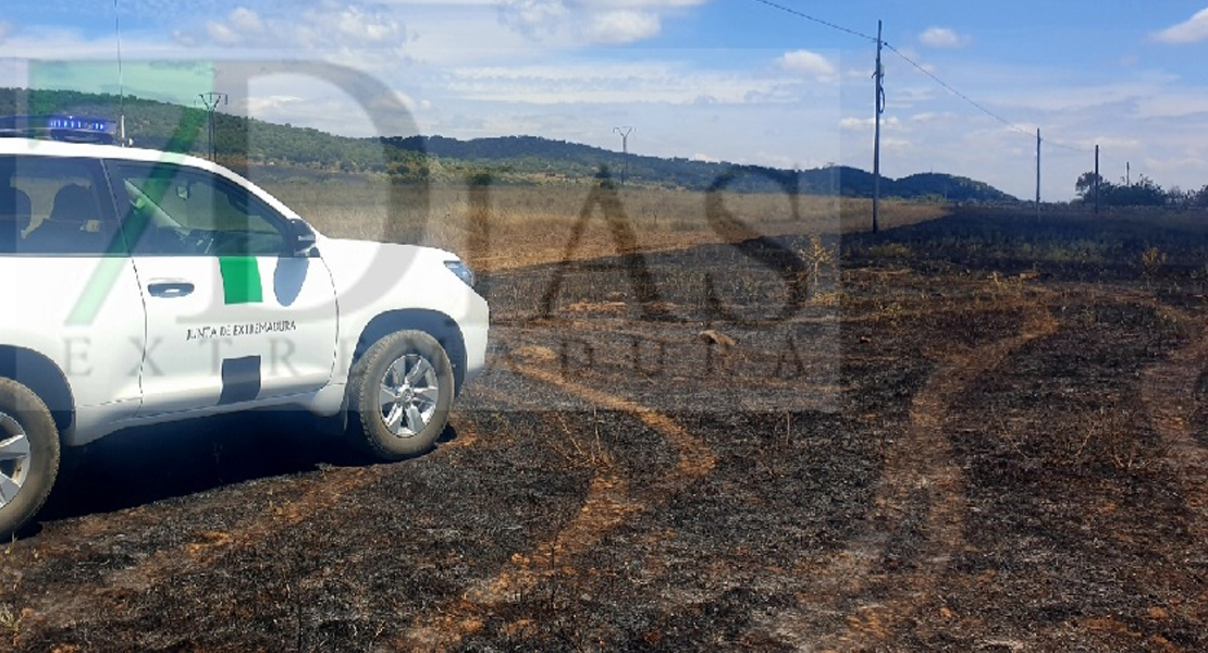 El fuego arrasa más 200 hectáreas esta semana a pesar de la lluvia en Extremadura