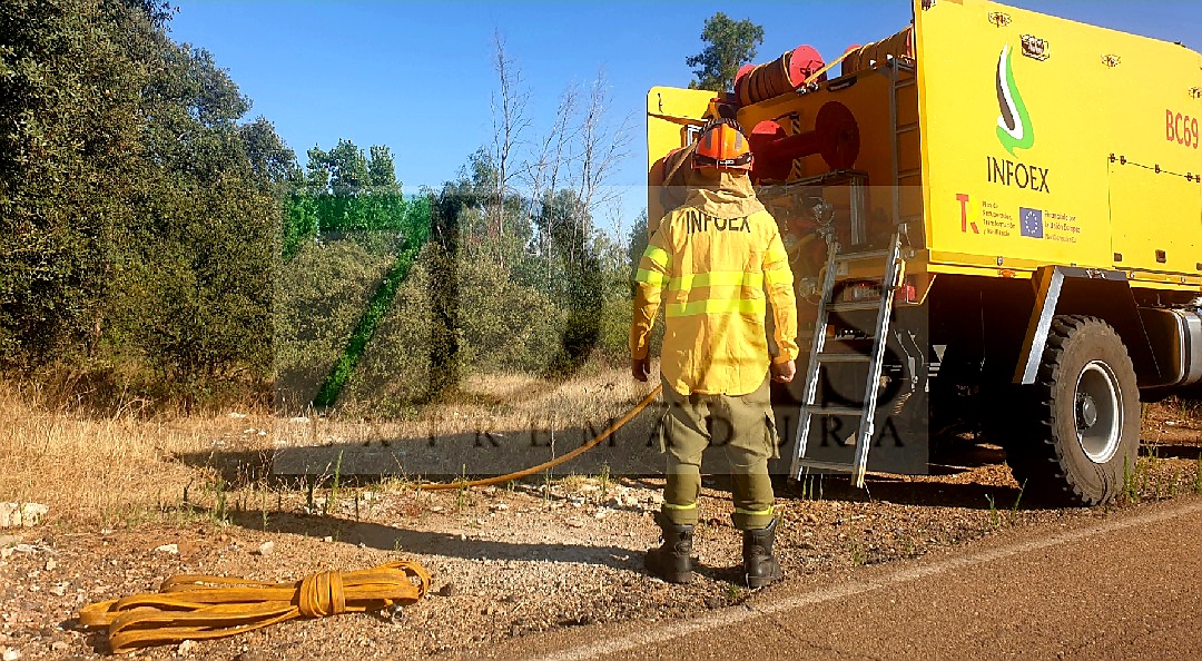 El fuego quema varias hectáreas en el término municipal de Valdebotoa