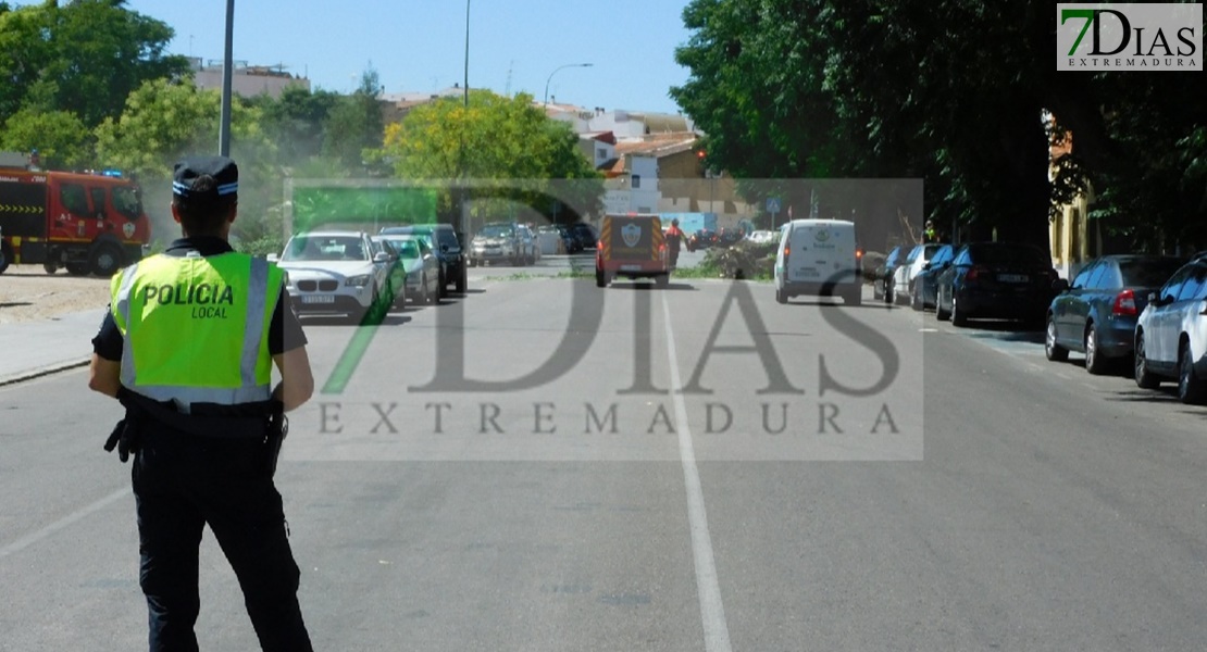 Bomberos de Badajoz retiran un árbol de grandes dimensiones de la vía pública