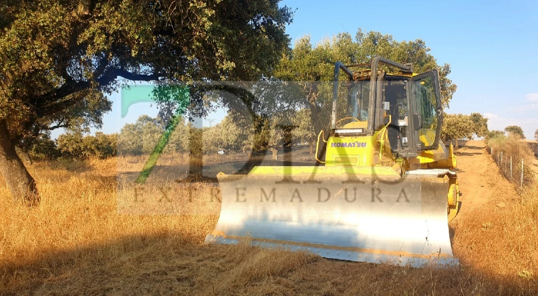 Extinguido el incendio forestal de Burguillos del Cerro