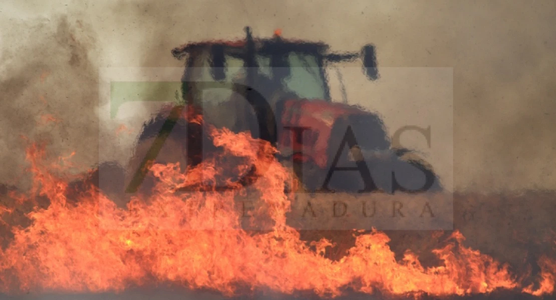 Un incendio arrasa con más cinco hectáreas en un finca de las casas aisladas de Gévora