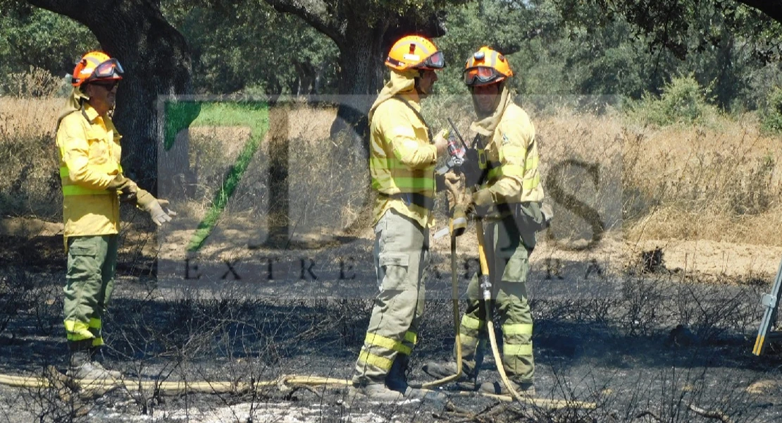 Más de 15 hectáreas calcinadas en una finca cercana a Novelda (BA)