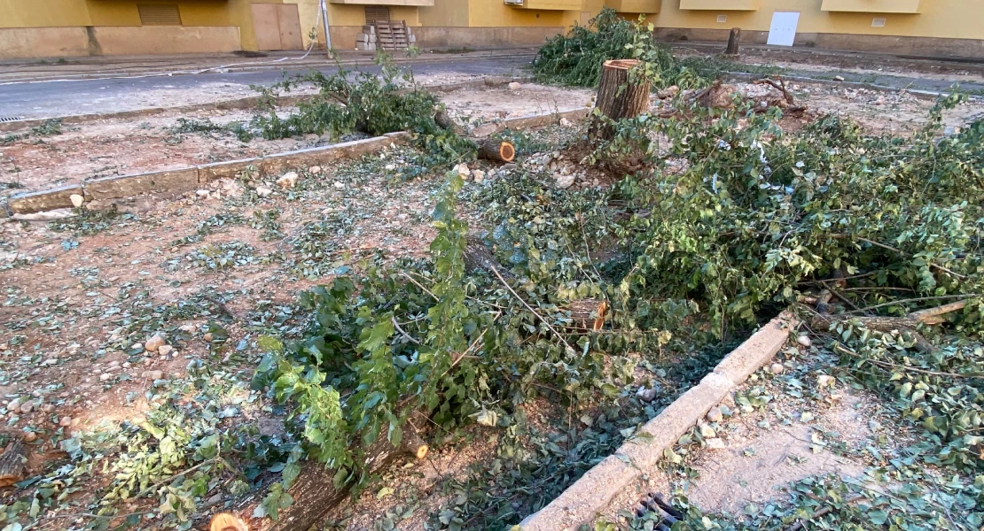 Exigen parar la tala de árboles de la barriada de La Paz en Badajoz