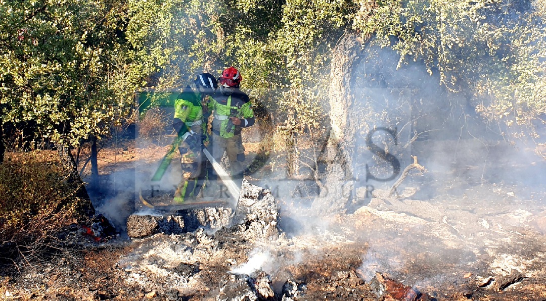 Incendio a las afueras de Badajoz este martes: "Hemos pasado mucho miedo"