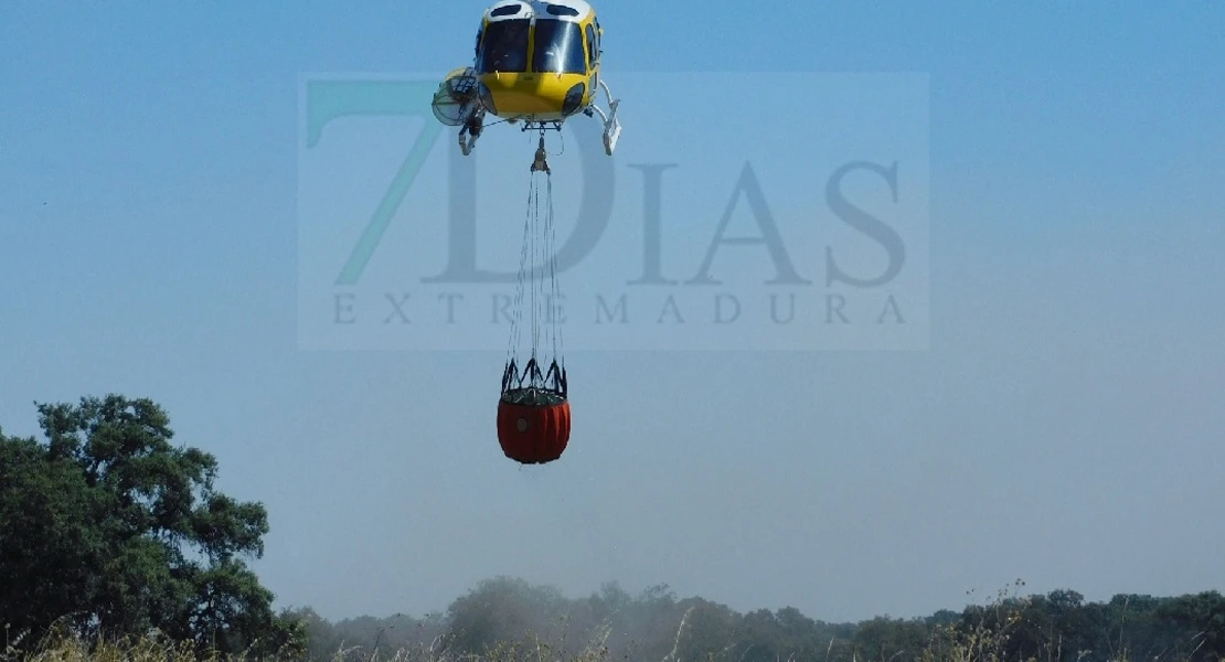 Más de 15 hectáreas calcinadas en una finca cercana a Novelda (BA)