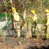 El fuego quema varias hectáreas en el término municipal de Valdebotoa