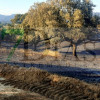 Extinguido el incendio forestal de Burguillos del Cerro