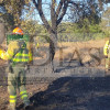 Incendio a las afueras de Badajoz este martes: "Hemos pasado mucho miedo"