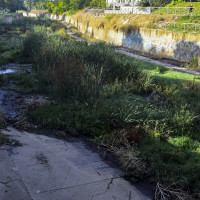 El Ayuntamiento anuncia que fumigará y limpiará los arroyos Rivillas y Calamón