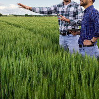 La Junta asegura que está pagando a los agricultores