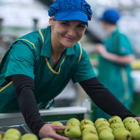 Un nuevo máster en Extremadura: la Junta apuesta por crear jóvenes emprendedores