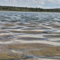 Extremadura pierde agua embalsada esta semana, pero mantiene buenos datos