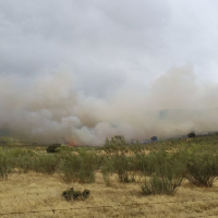 Incendio forestal en Conquista de la Sierra (CC): declaran el nivel 1 de peligrosidad