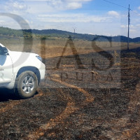 El fuego arrasa más 200 hectáreas esta semana a pesar de la lluvia en Extremadura