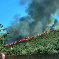 Grave incendio forestal en el paraje de la Sierra en Oliva de Mérida (BA)