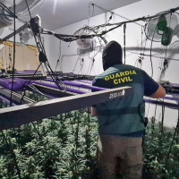 Operación antidroga en Extremadura: incautan marihuana en dos viviendas contiguas