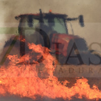 Un incendio arrasa más de cinco hectáreas en un finca de las Casas Aisladas de Gévora