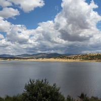 Cerca de 40 kms de río Guadiana cuenta con una nueva especie invasora: intentan evitar su propagación