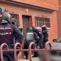 Desarticulan un grupo criminal: intervienen 1.000 plantas de marihuana y 40 kilos de cogollos