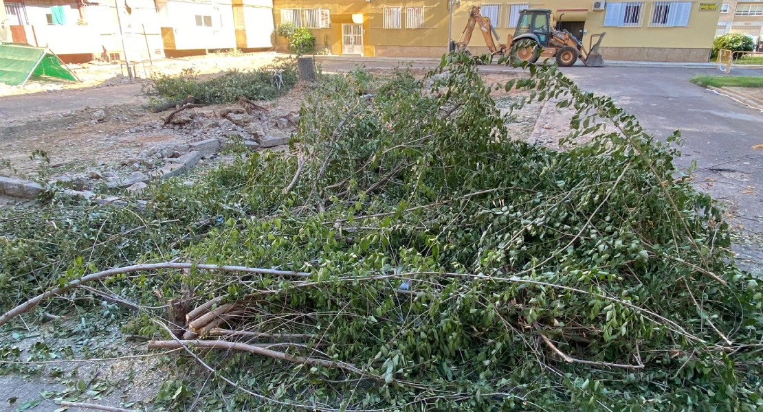 Exigen parar la tala de árboles de la barriada de La Paz en Badajoz