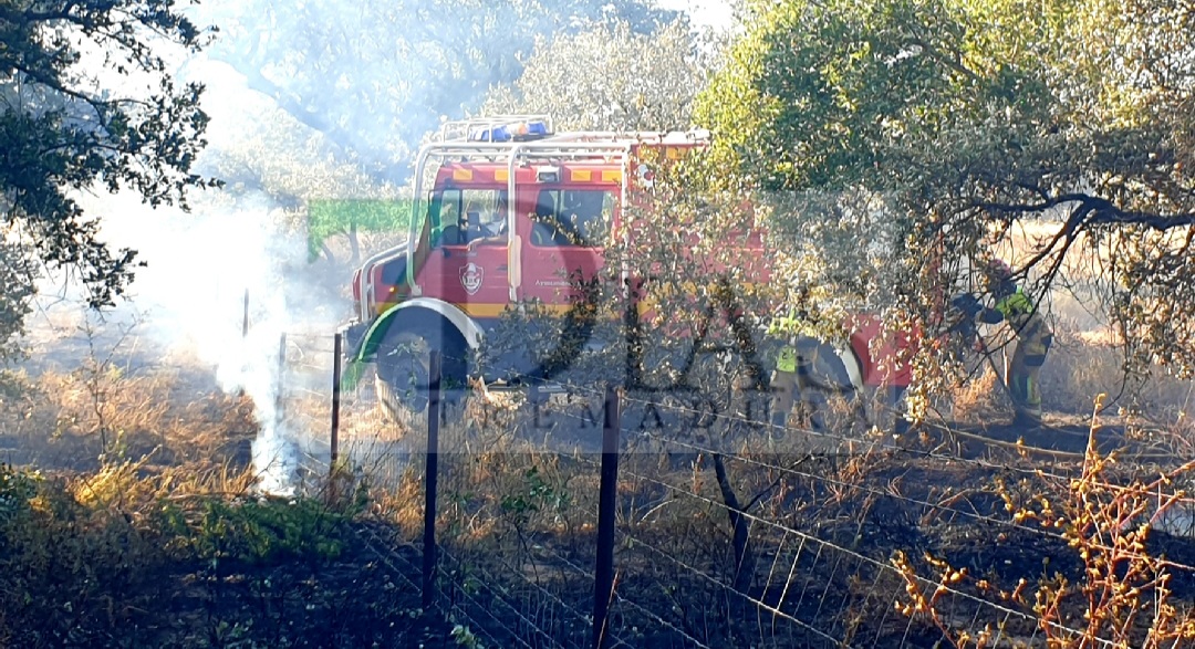 Incendio a las afueras de Badajoz este martes: "Hemos pasado mucho miedo"