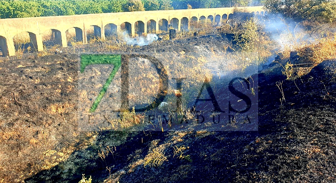 El fuego quema varias hectáreas en el término municipal de Valdebotoa