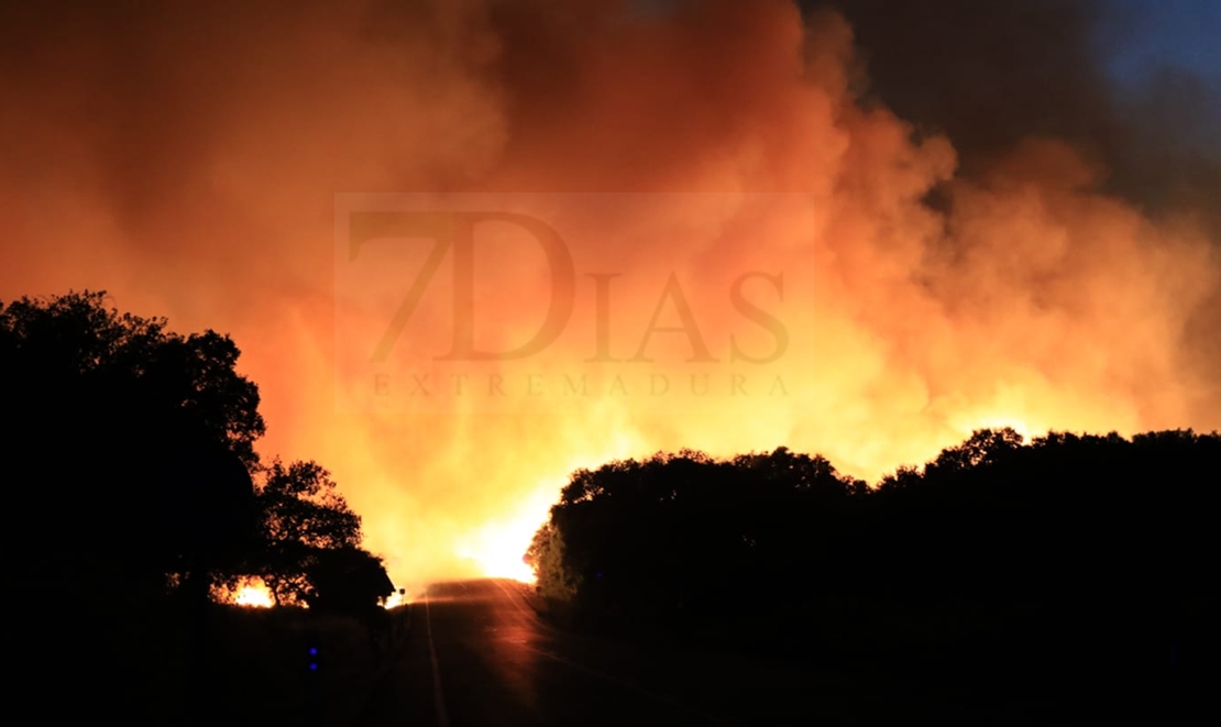 Un incendio forestal entre Valverde y Almendral obliga a cortar la carretera