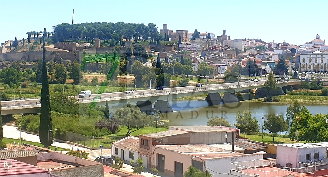 Muere un perro atrapado en la planta invasora del río Guadiana en Badajoz