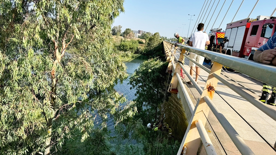 Así ha sido la intervención de los bomberos en el Puente Real