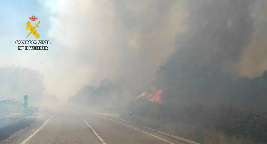 Desoladoras imágenes del incendio de nivel 1 de peligrosidad en La Vera