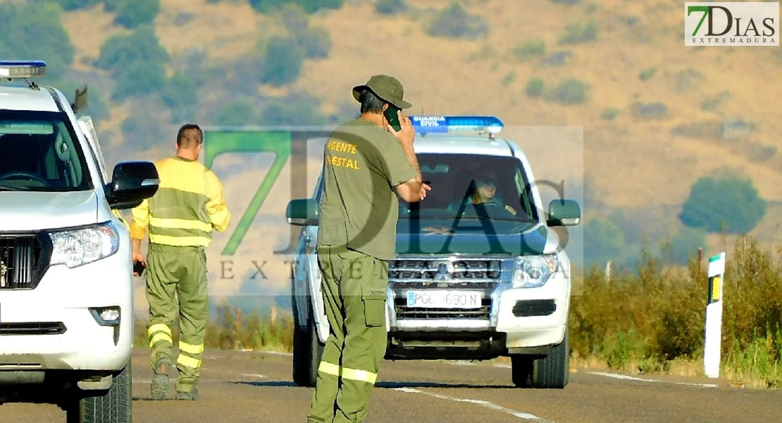 Amplio dispositivo en un grave incendio en Alange (BA)