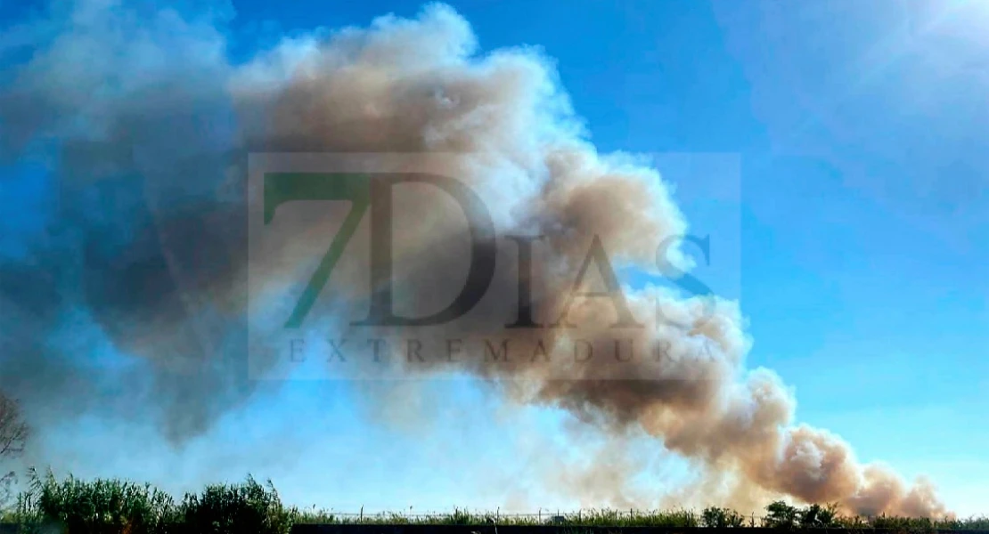 Los Bomberos trabajan en un incendio junto al Cementerio Municipal de Villafranco del Guadiana